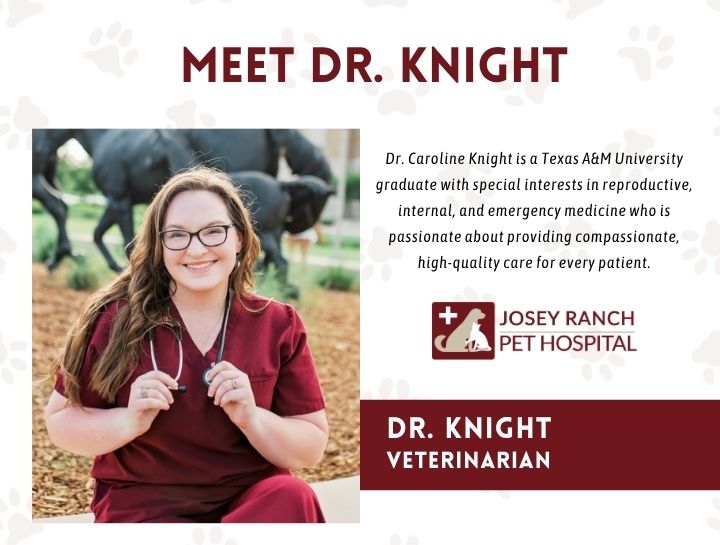 Welcome Dr. Caroline Knight to Josey Ranch Pet Hospital!