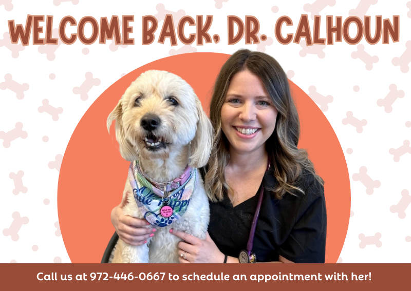 Carousel Slide 1: Book An Appointment >