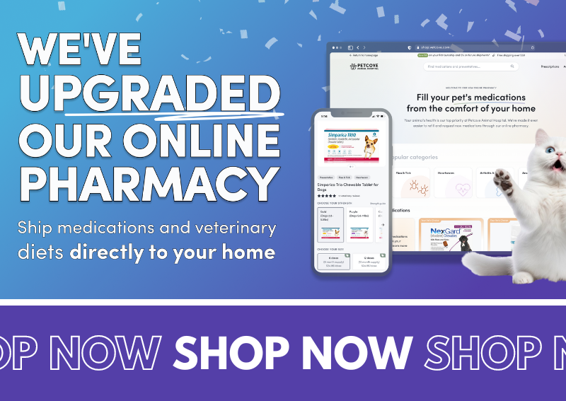 Carousel Slide 2: Carrollton online veterinary pharmacy