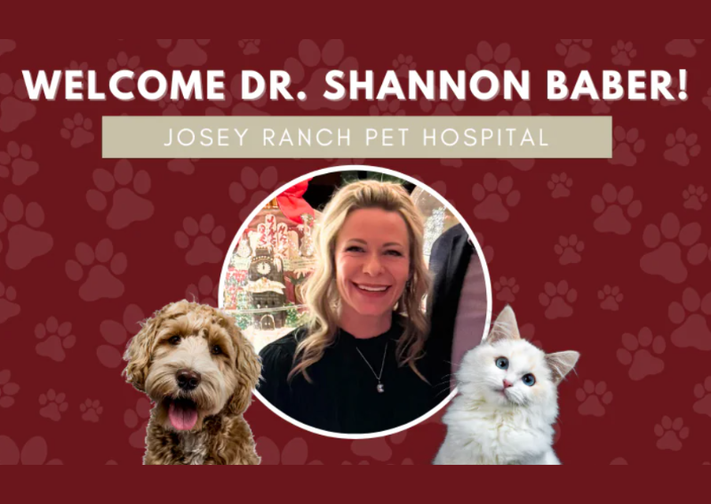 Carousel Slide 1: With over 24 years of experience, we're excited to welcome Dr. Shannon!
