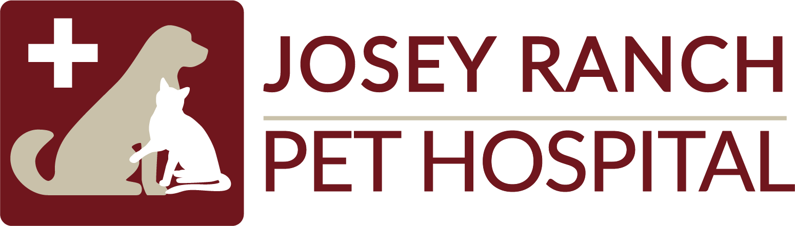 Link to Homepage of Josey Ranch Pet Hospital