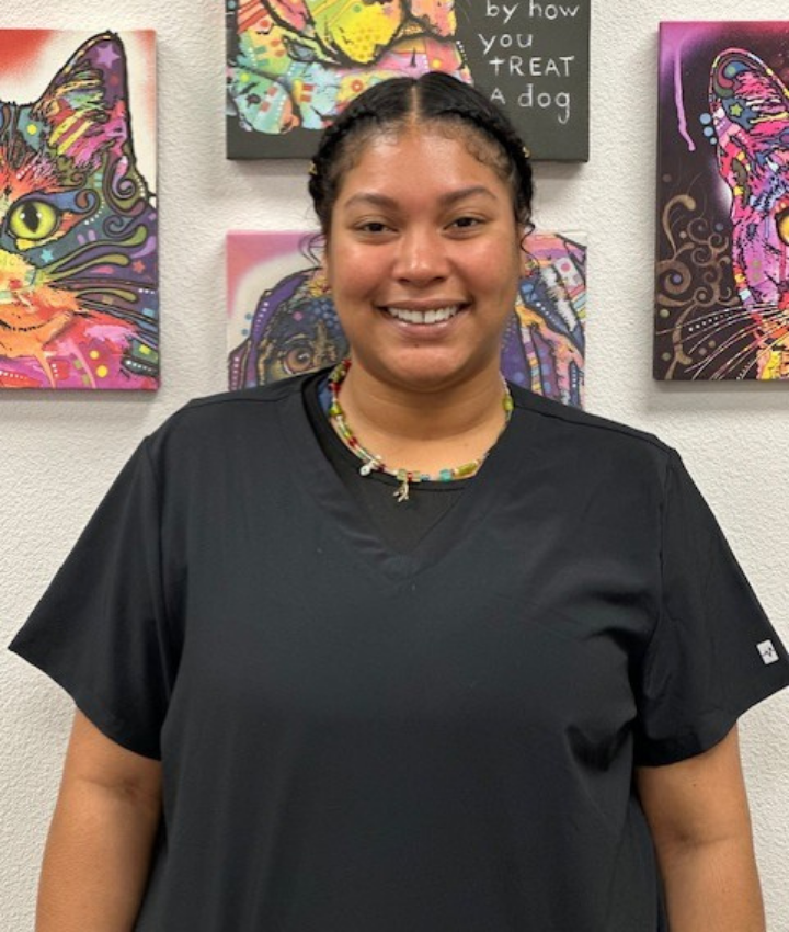 Portrait of Don-Angel